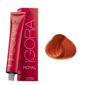 צבע לשיער מספר 0-77- איגורה רויאל שוורצקופף IGORA ROYAL SCHWARZKOPF