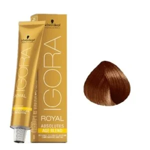 צבע לשיער מספר 6-70- איגורה רויאל שוורצקופף IGORA ROYAL SCHWARZKOPF