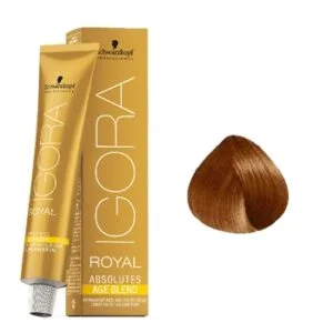 צבע לשיער מספר 7-70- איגורה רויאל שוורצקופף IGORA ROYAL SCHWARZKOPF