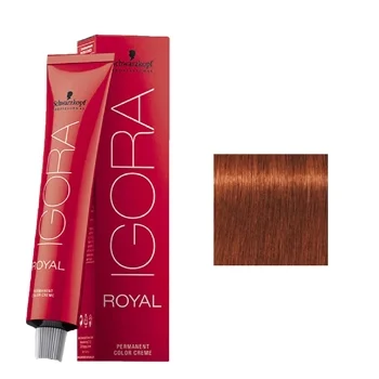 צבע לשיער מספר 6.77- איגורה רויאל שוורצקופף IGORA ROYAL SCHWARZKOPF