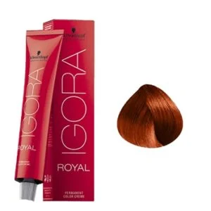 צבע לשיער מספר 8.77- איגורה רויאל שוורצקופף IGORA ROYAL SCHWARZKOPF