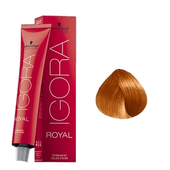 צבע לשיער מספר 9.7- איגורה רויאל שוורצקופף IGORA ROYAL SCHWARZKOPF