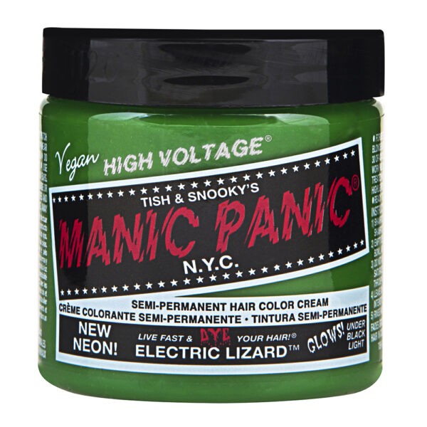 ELECTRIC LIZARD- מאניק פאניק Manic panic