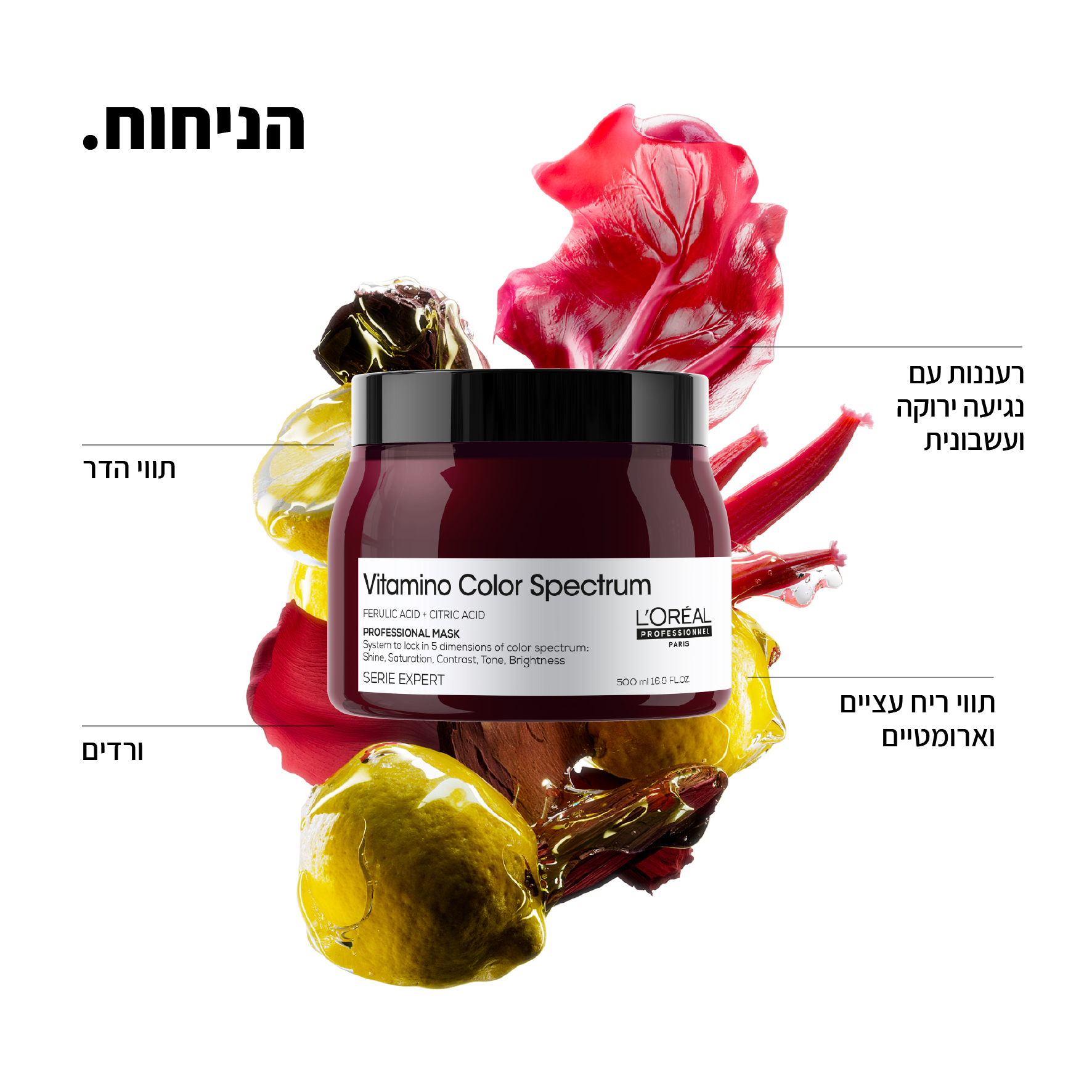 ⁦מסכה ויטמינו קולור ספקטרום לשיער צבוע 500 מ"ל - לוריאל LOREAL⁩ – תמונה ⁦2⁩