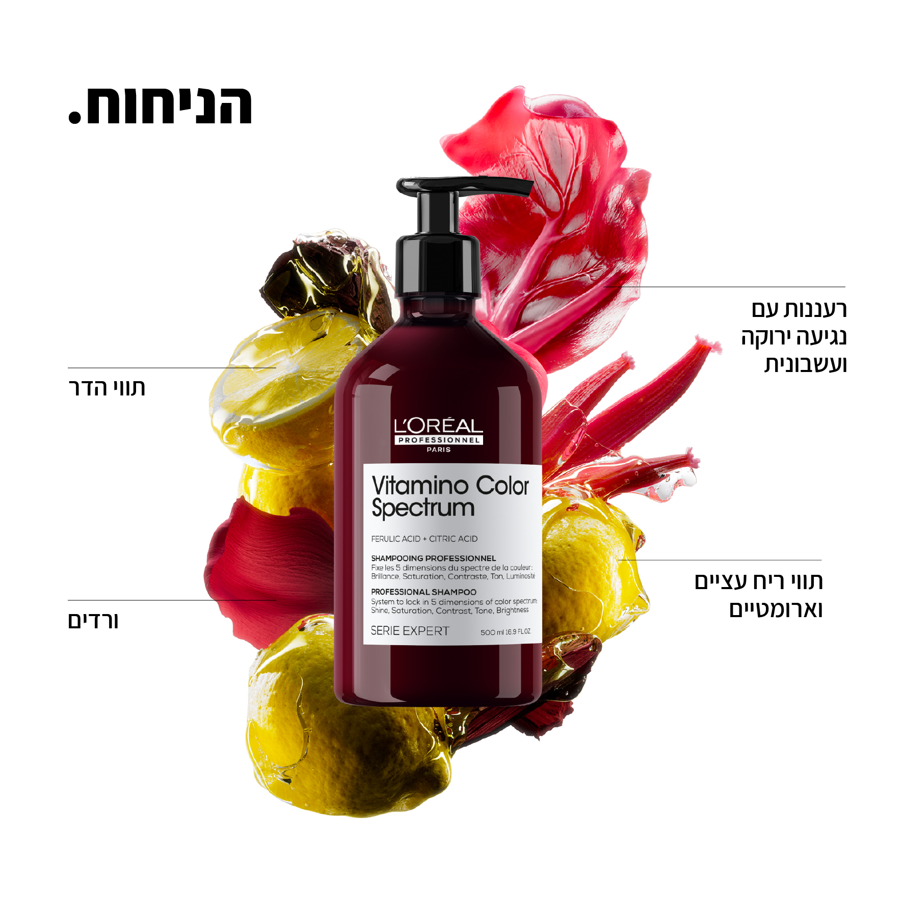 ⁦שמפו ויטמינו קולור ספקטרום לשיער צבוע 500 מ"ל - לוריאל LOREAL⁩ – תמונה ⁦3⁩