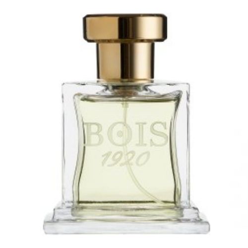 טסטר - אליטה I אדפ יוניסקס 100 מ"ל - בויס 1920 - Tester - Bois 1920 - Elite I EDP Unisex 100ML