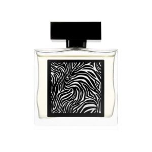 טסטר - אנקריפט אדפ לגבר 85 מ"ל - פרגרנס וורלד - Tester - Fragrance World - Encrypt EDP For Men 85ML