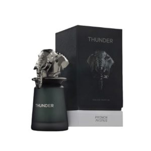 ת'אנדר אדפ יוניסקס 100 מ"ל - פרנץ' אבניו - French Avenue - Thunder EDP Unisex 100ML