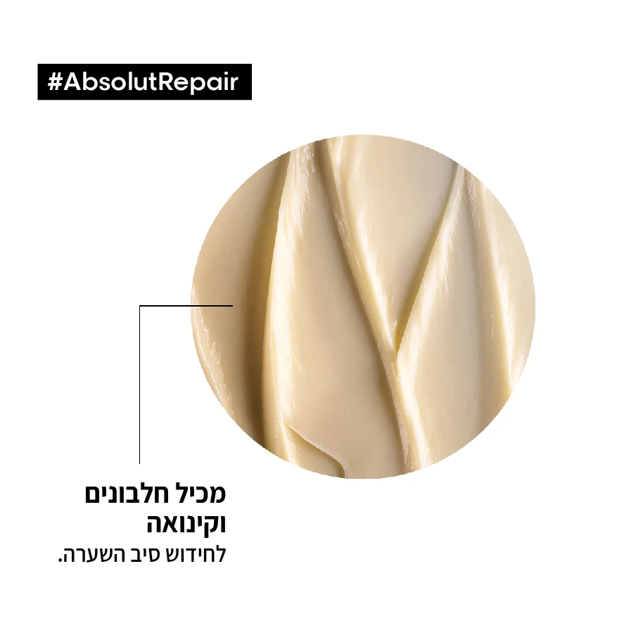 שמפו אבסולוט ריפייר לשיער יבש ופגום 500 מ"ל - לוריאל LOREAL – תמונה 2