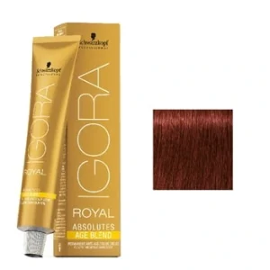 צבע לשיער מספר 6-80- איגורה רויאל שוורצקופף IGORA ROYAL SCHWARZKOPF